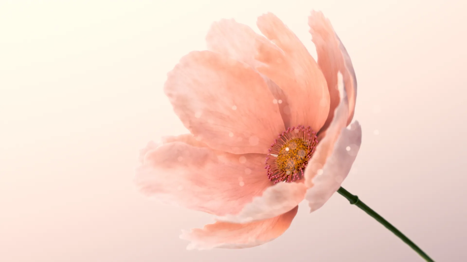 SMAL Cosmetics Flower